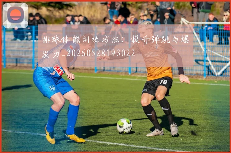 排球体能训练方法：提升弹跳与爆发力_20260528193022